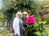 Ellen Tahatakis and Joyce Janvier … smelling the giant roses at Van Dusen Botanical Gardens.
